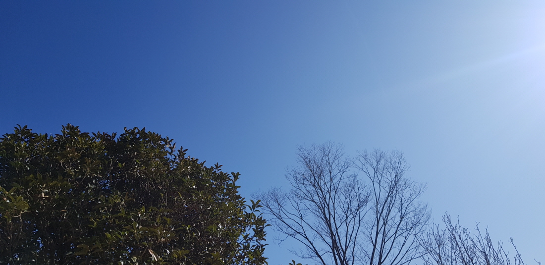 816aaa98dfd393aceb6c3873ebf66457.jpg