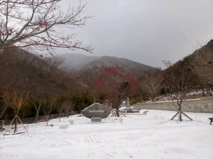 040140484ff70daed8b599b0f396475a.png