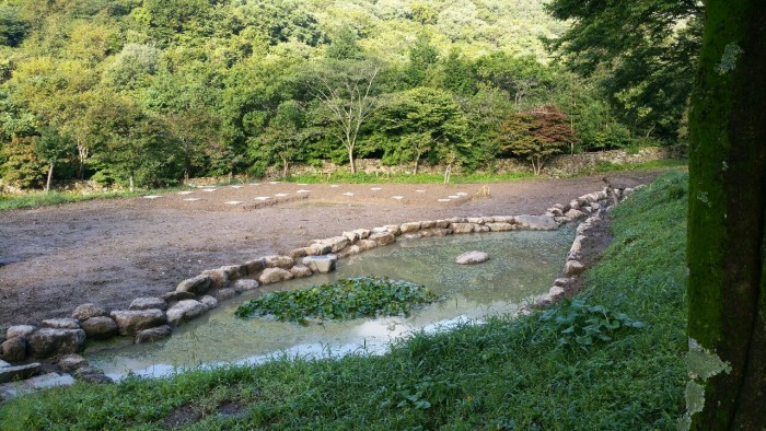 767ad35aa3044a7f75001ef06c12eccc.jpg