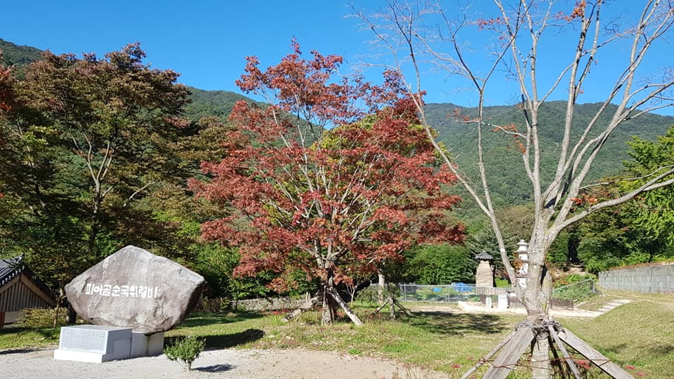 7c17235b0b8b7a3555bee3851cc4f83e.jpg