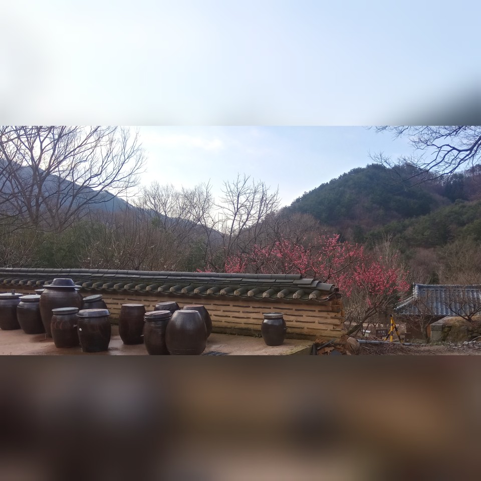 fdf9d4600be307f52dab8dd9fd042d7c.jpg